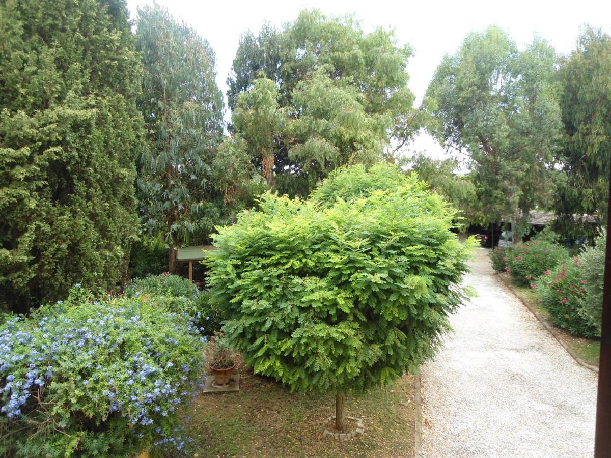 Agriturismo Le Pescine Vada Exterior photo