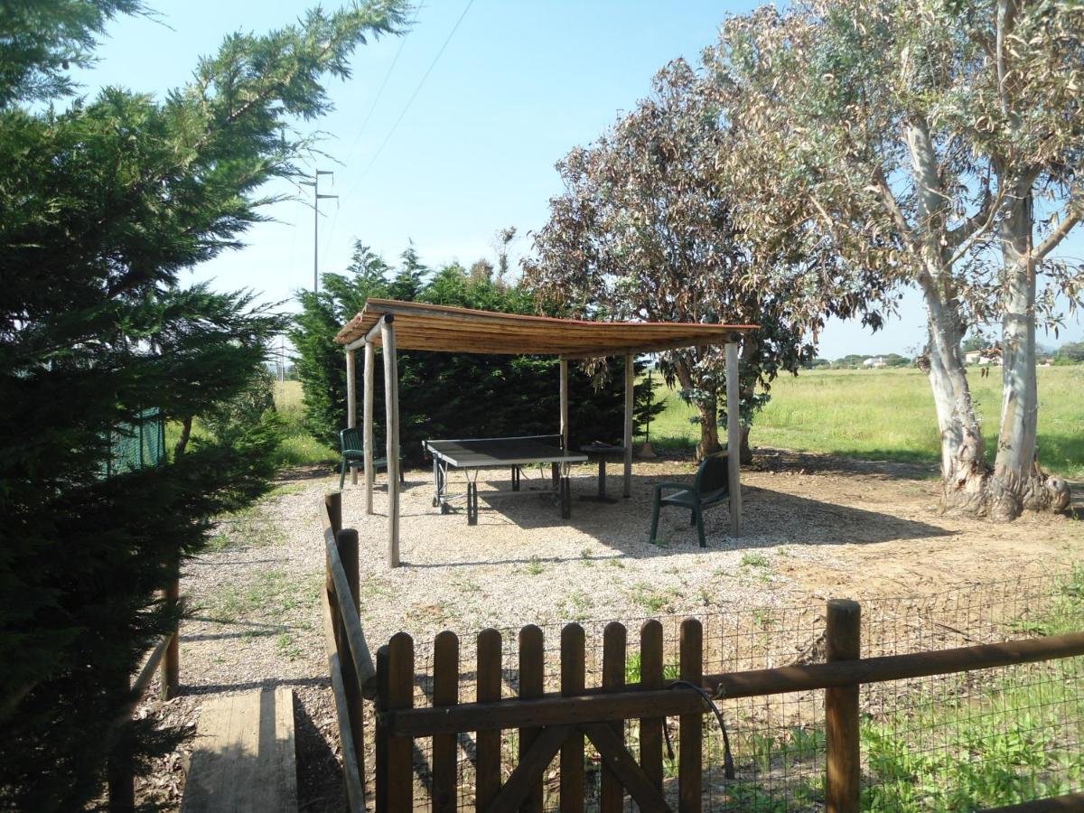 Agriturismo Le Pescine Vada Exterior photo